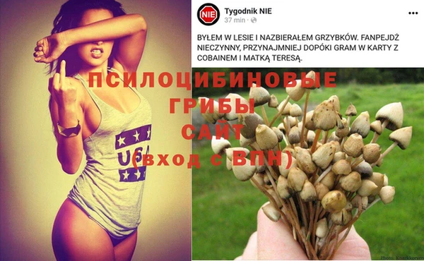 бутират Гусиноозёрск