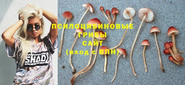 скорость Гусь-Хрустальный