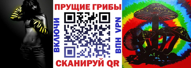 Псилоцибиновые грибы GOLDEN TEACHER  Купить где  Няндома 