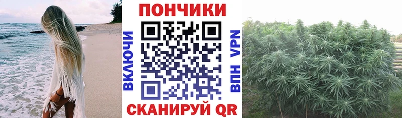 Шишки марихуана ГИДРОПОН  Купить закладки  Няндома 